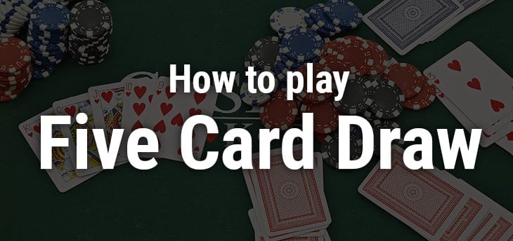 The Beginner’s Guide to No Limit Five Card Draw